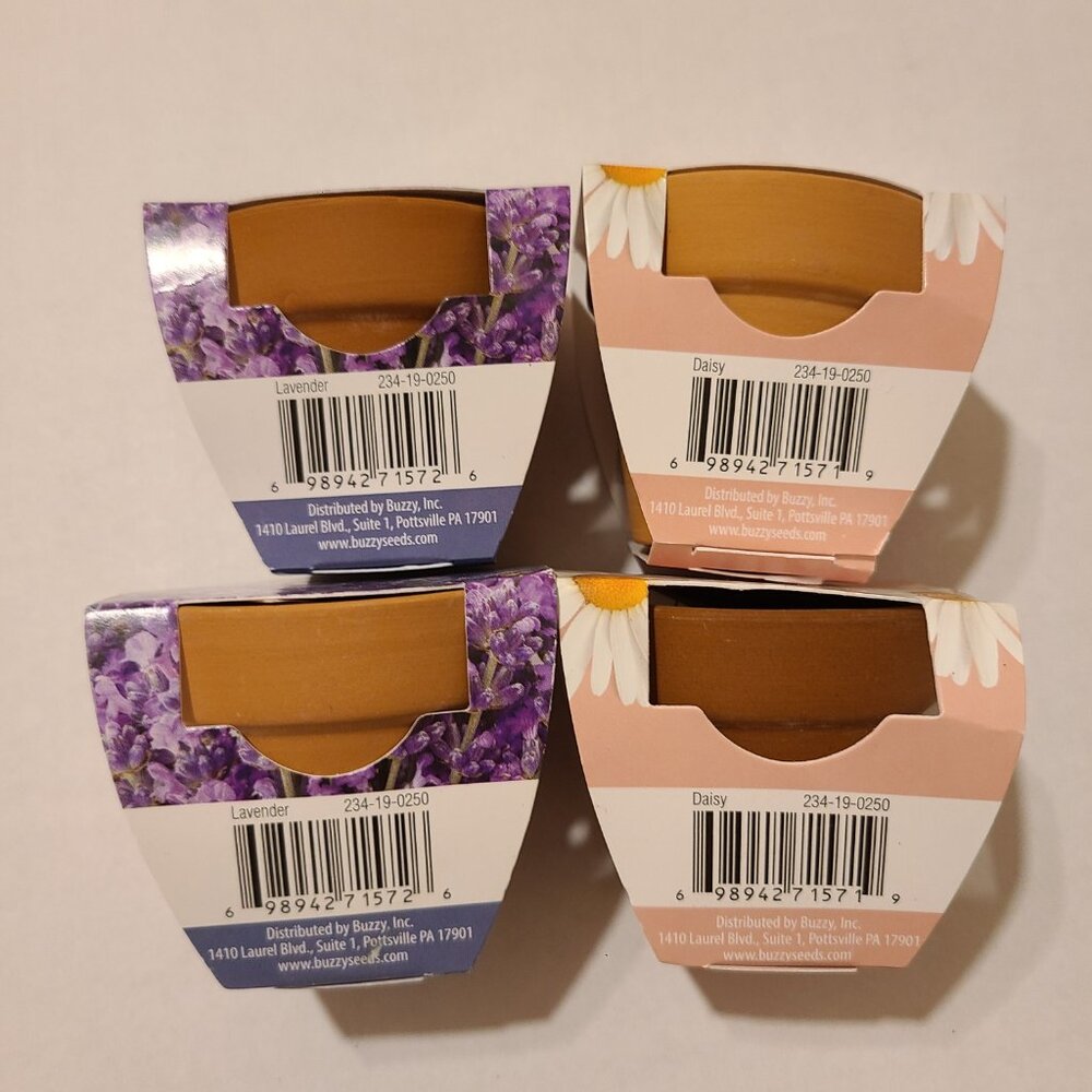 BUZZY 4 PIECE MINI GROW KIT - DAISY, LAVENDER - Picture 3 of 3